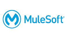 fiti partner mulesoft